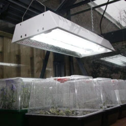 Maxibright Propagation Lights -Verdura Garden Store MPL7