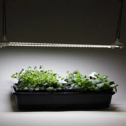Cosmorrow LED Grow Lights -Verdura Garden Store MXCGLLB4711