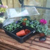 Heat And Grow Variable Temperature Propagator -Verdura Garden Store PRHGV1