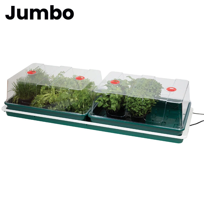 Professional Variable Temperature Control Propagators 7 Professional Variable Temperature Control Propagators - Image 7