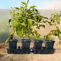 Quadgrow Planter 18 Quadgrow Planter -Verdura Garden Store QGP12