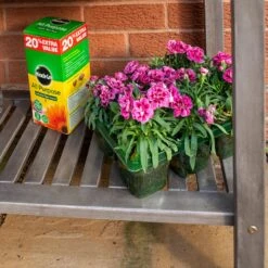 Rowlinson Alderley Raised Planter -Verdura Garden Store ROALDRAPL7