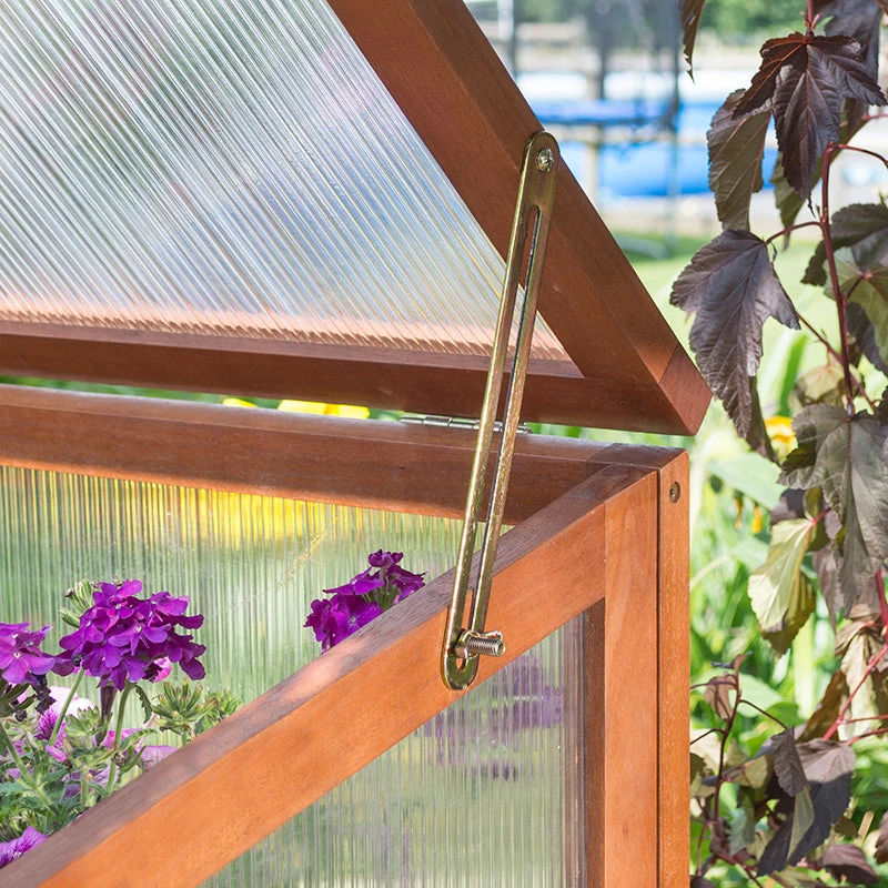 Rowlinson Square Mini Greenhouse 3 Rowlinson Square Mini Greenhouse - Image 3