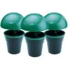 Slug And Snail Traps (1x Triple Pack)