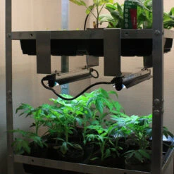 Seed Tray Rack Lighting Kit -Verdura Garden Store STRLB7