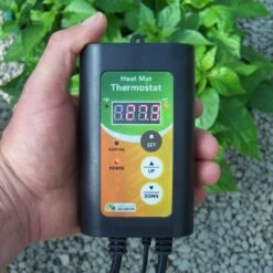 Monotop Propagator -Verdura Garden Store TMT2 c8e944fb bb81 4a84 8885 31120116427d