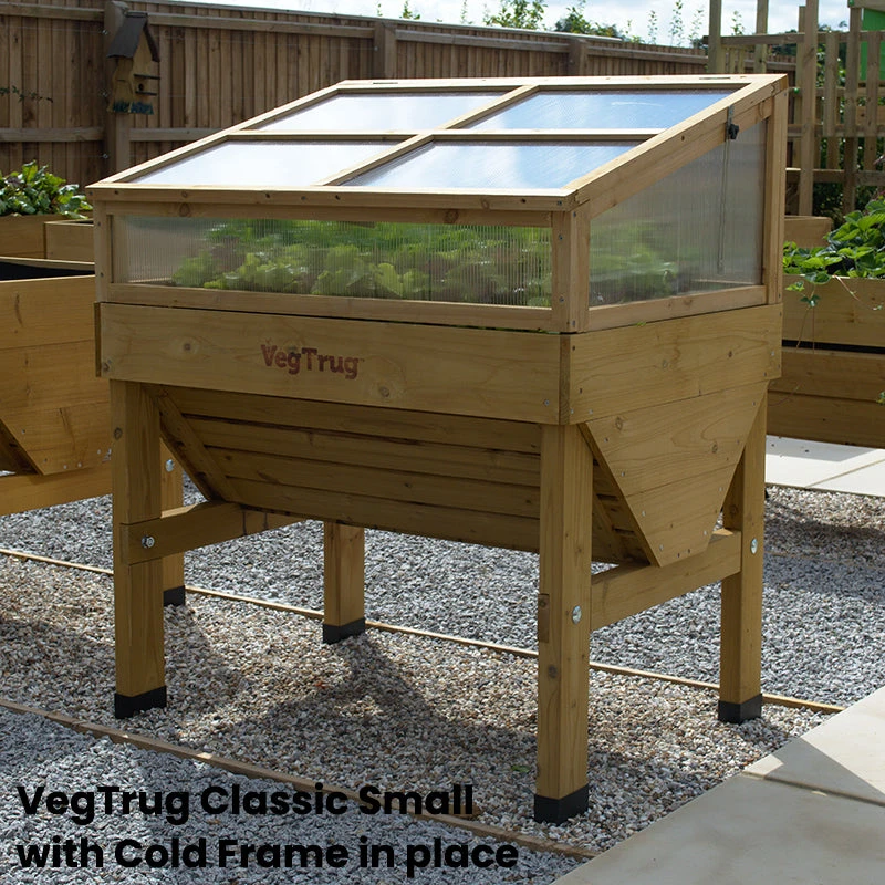 VegTrug Cold Frame 4 VegTrug Cold Frame - Image 4