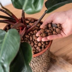 Gro-Sure Hydroleca 10 Litre Bag -Verdura Garden Store WLGSH102