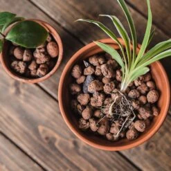 Gro-Sure Hydroleca 10 Litre Bag -Verdura Garden Store WLGSH105