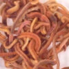 Composting Worms -Verdura Garden Store WWCW3