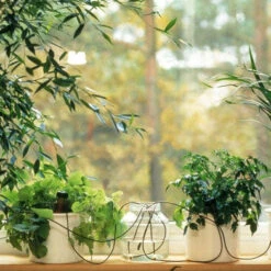 Blumat Automatic Pot Plant Waterers -Verdura Garden Store bappw3 1