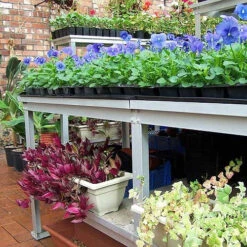 Commercial Bench - Two Tier 11 Commercial Bench - Two Tier -Verdura Garden Store cbtt3