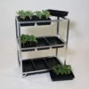 Economy Seed Tray Rack -Verdura Garden Store estr3st2 8