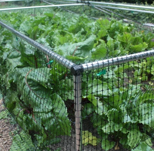 1' 6" High X 8' Wide Fruit & Vegetable Cage 5 1' 6" High X 8' Wide Fruit & Vegetable Cage - Image 5