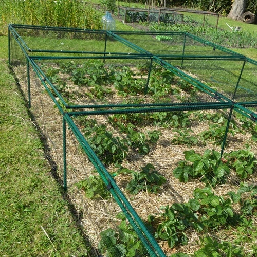 1' 6" High X 8' Wide Fruit & Vegetable Cage 2 1' 6" High X 8' Wide Fruit & Vegetable Cage - Image 2