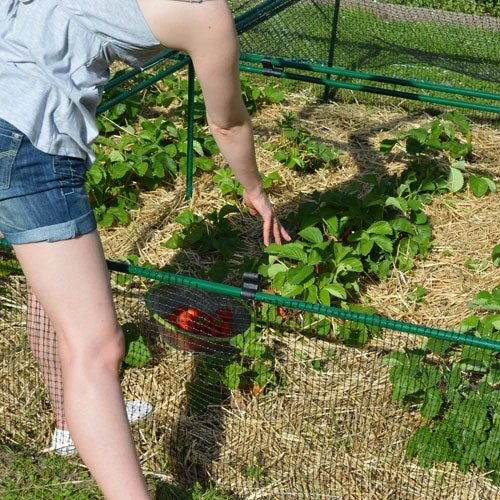 1' 6" High X 8' Wide Fruit & Vegetable Cage 4 1' 6" High X 8' Wide Fruit & Vegetable Cage - Image 4
