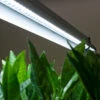 GS LED Grow Light -Verdura Garden Store gsled5 3