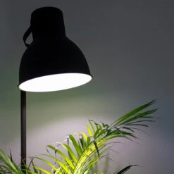 E27 LED Light Bulb -Verdura Garden Store hgrilb6