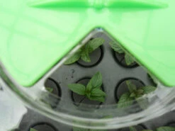 Hydropod Propagator -Verdura Garden Store hycp11 1 4