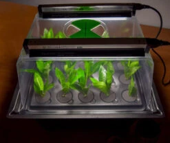 Hydropod Propagator -Verdura Garden Store hycp7 4