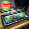 Monotop Propagator -Verdura Garden Store image 100067