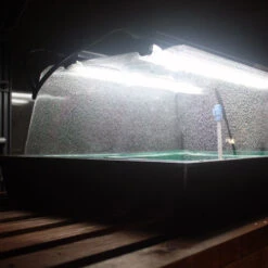 Monotop Propagator -Verdura Garden Store image 100072