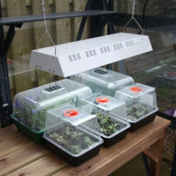 Maxibright Propagation Lights