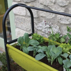 Vigoroot Easy Table Garden -Verdura Garden Store image 102325