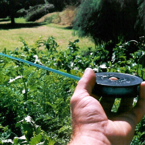 Birdscare 1 Birdscare