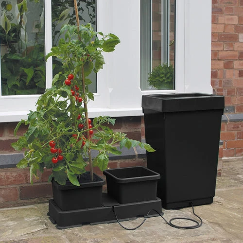 Easy2Grow 2 Pot Kit 1 Easy2Grow 2 Pot Kit