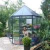 Palram Canopia Oasis Hexagonal 8ft Greenhouse 6 Palram Canopia Oasis Hexagonal 8ft Greenhouse -Verdura Garden Store image 107647 ee33406e 8c1d 451d bb19 5383be6300a2