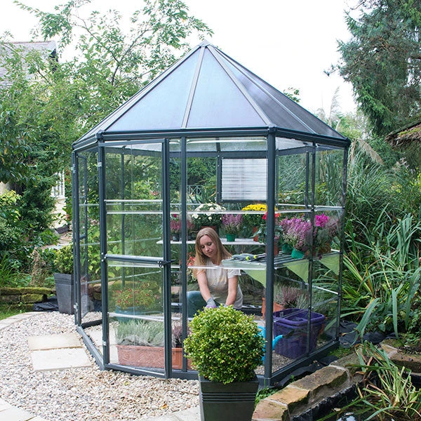 Palram Canopia Oasis Hexagonal 8ft Greenhouse 1 Palram Canopia Oasis Hexagonal 8ft Greenhouse