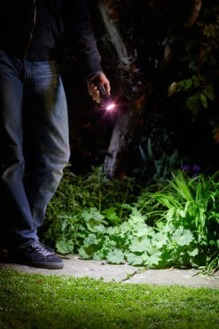 Mega-Beam Torch -Verdura Garden Store image 108201