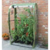 Tomato Crop-Booster Poly Cover