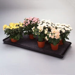 Self Watering Trays 5 Self Watering Trays -Verdura Garden Store image 135950