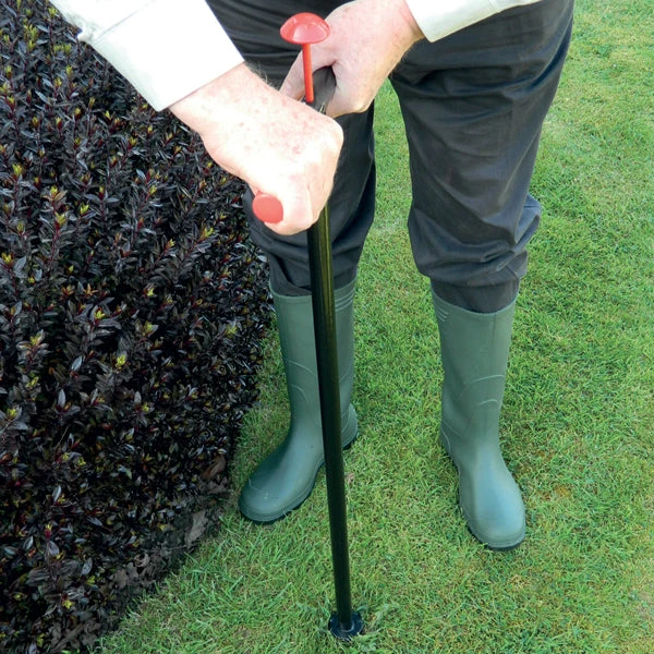 Heavy Duty Weeder 5 Heavy Duty Weeder - Image 5