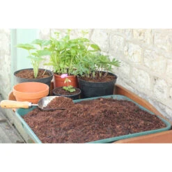 Coir Compost Block -Verdura Garden Store image 137051