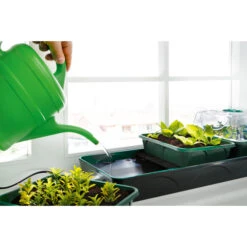 Bio Green Hollandia Self Watering Propagator -Verdura Garden Store image 137059