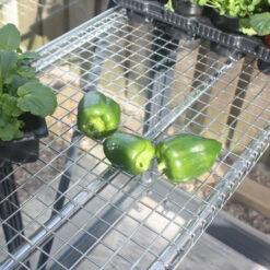 Greenhouse Integral Staging 8 Greenhouse Integral Staging -Verdura Garden Store image 138311