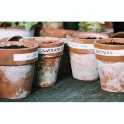 Electronic Garden Labeller With Mains Adapter And Spare Tape -Verdura Garden Store image 139049