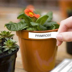 Electronic Garden Labeller With Mains Adapter And Spare Tape -Verdura Garden Store image 139050