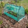 Gro-Zone Gro-Cloche Max 11 Gro-Zone Gro-Cloche Max -Verdura Garden Store image 139054