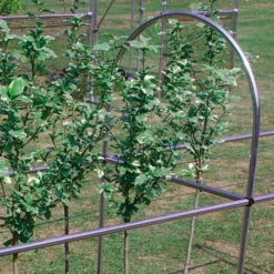 4' Extension To Crop Support Frame 3 4' Extension To Crop Support Frame -Verdura Garden Store image 139356