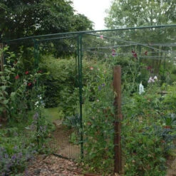 Deluxe Fruit Cage Door -Verdura Garden Store image 139360