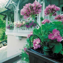 Tropf Blumat Mains Kit - Fitting To 19mm Threaded Tap -Verdura Garden Store image 139452