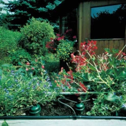 Tropf Blumat Mains Kit - Fitting To 19mm Threaded Tap -Verdura Garden Store image 139455