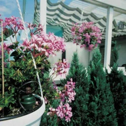 Tropf Blumat Tank Kit -Verdura Garden Store image 139461