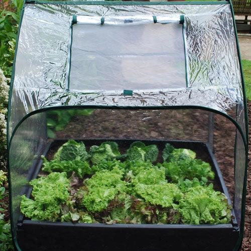 Large Raised Bed With Pop Up Mini Greenhouse 4 Large Raised Bed With Pop Up Mini Greenhouse - Image 4