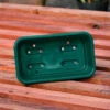 Pack Of 7 Quarter Seed Trays -Verdura Garden Store image 139601