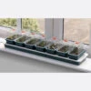 Window Sill Propagator With 14 Seed Trays And Covers -Verdura Garden Store image 139608